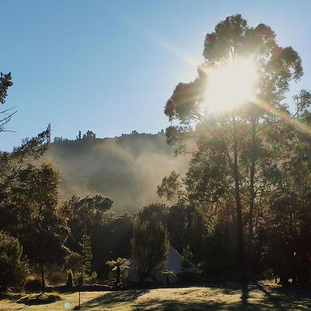 Glamping At Zeehan Bush Camp Hotel Eksteriør billede