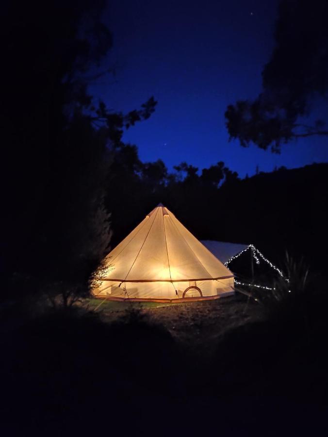 Glamping At Zeehan Bush Camp Eksteriør billede