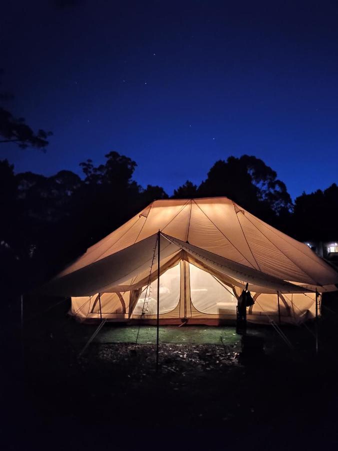 Glamping At Zeehan Bush Camp Eksteriør billede