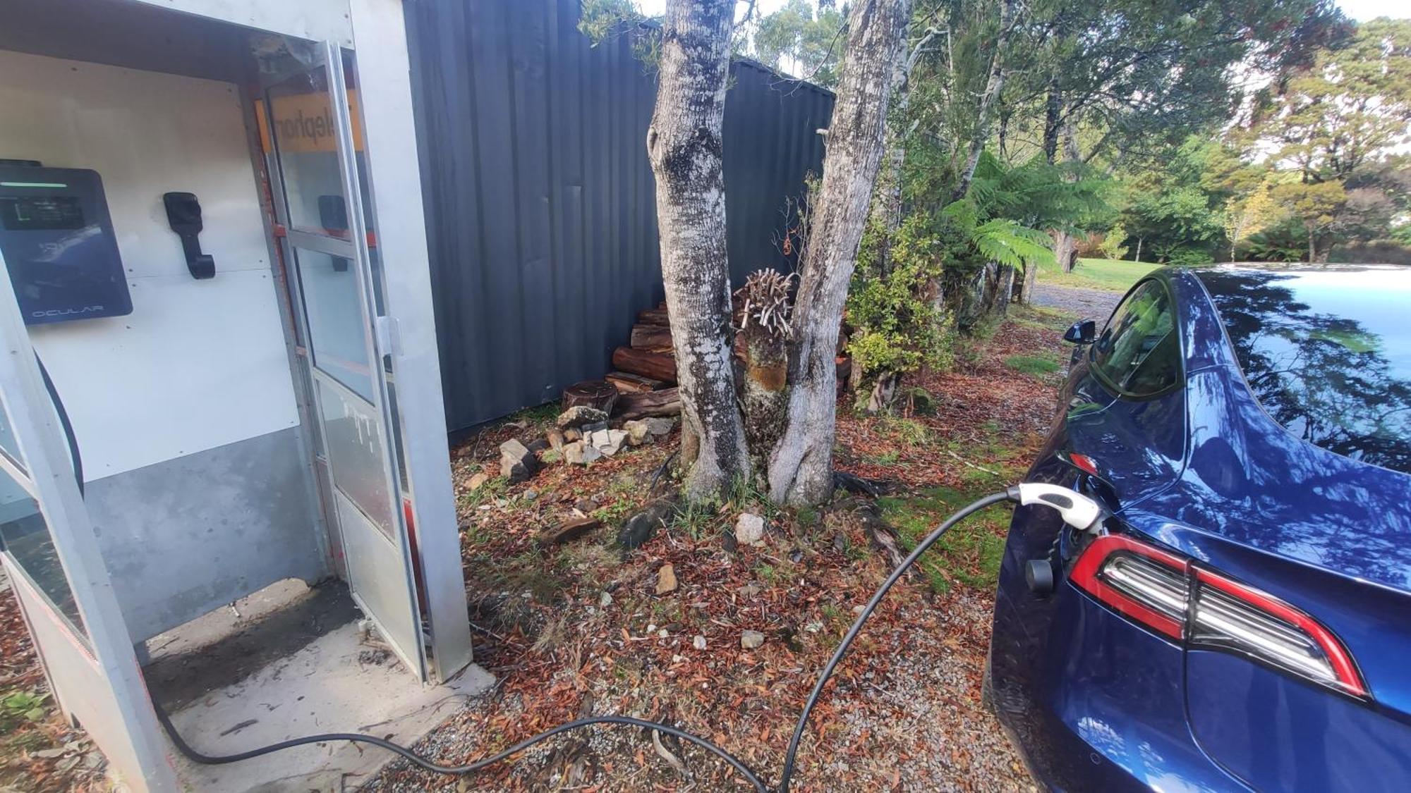 Glamping At Zeehan Bush Camp Eksteriør billede