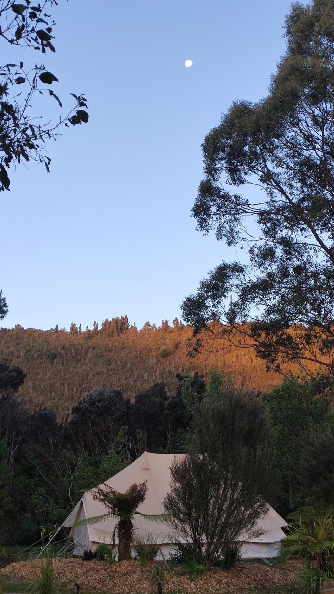 Glamping At Zeehan Bush Camp Hotel Eksteriør billede