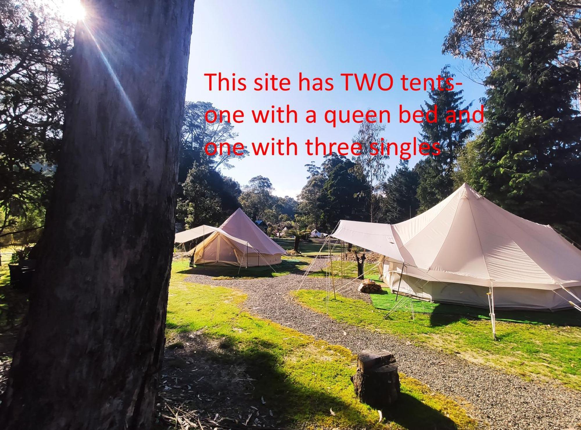 Glamping At Zeehan Bush Camp Eksteriør billede