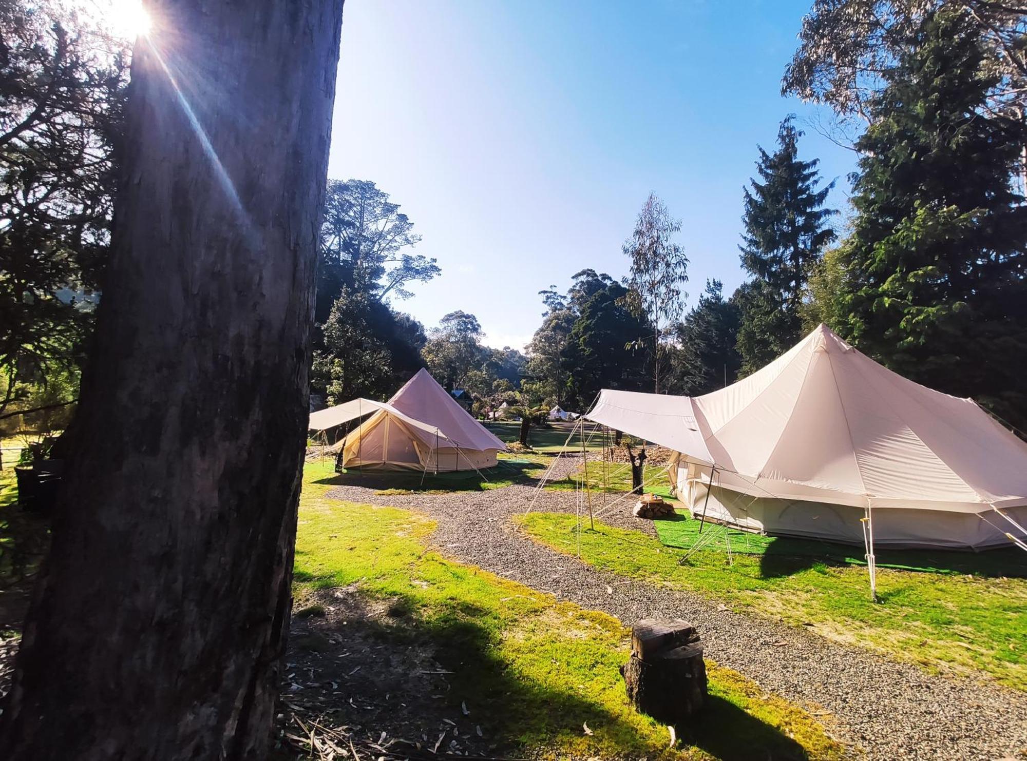 Glamping At Zeehan Bush Camp Eksteriør billede