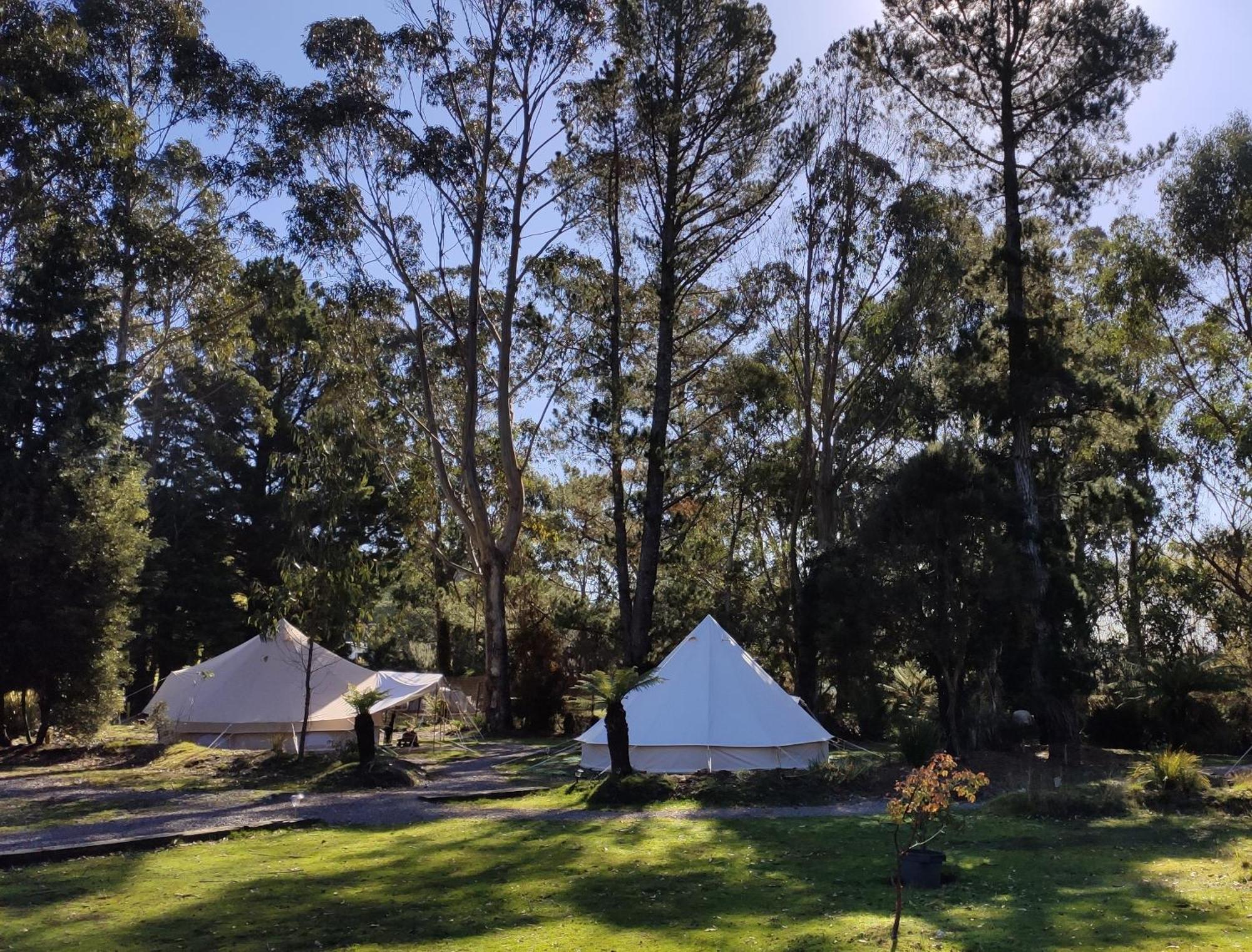 Glamping At Zeehan Bush Camp Eksteriør billede