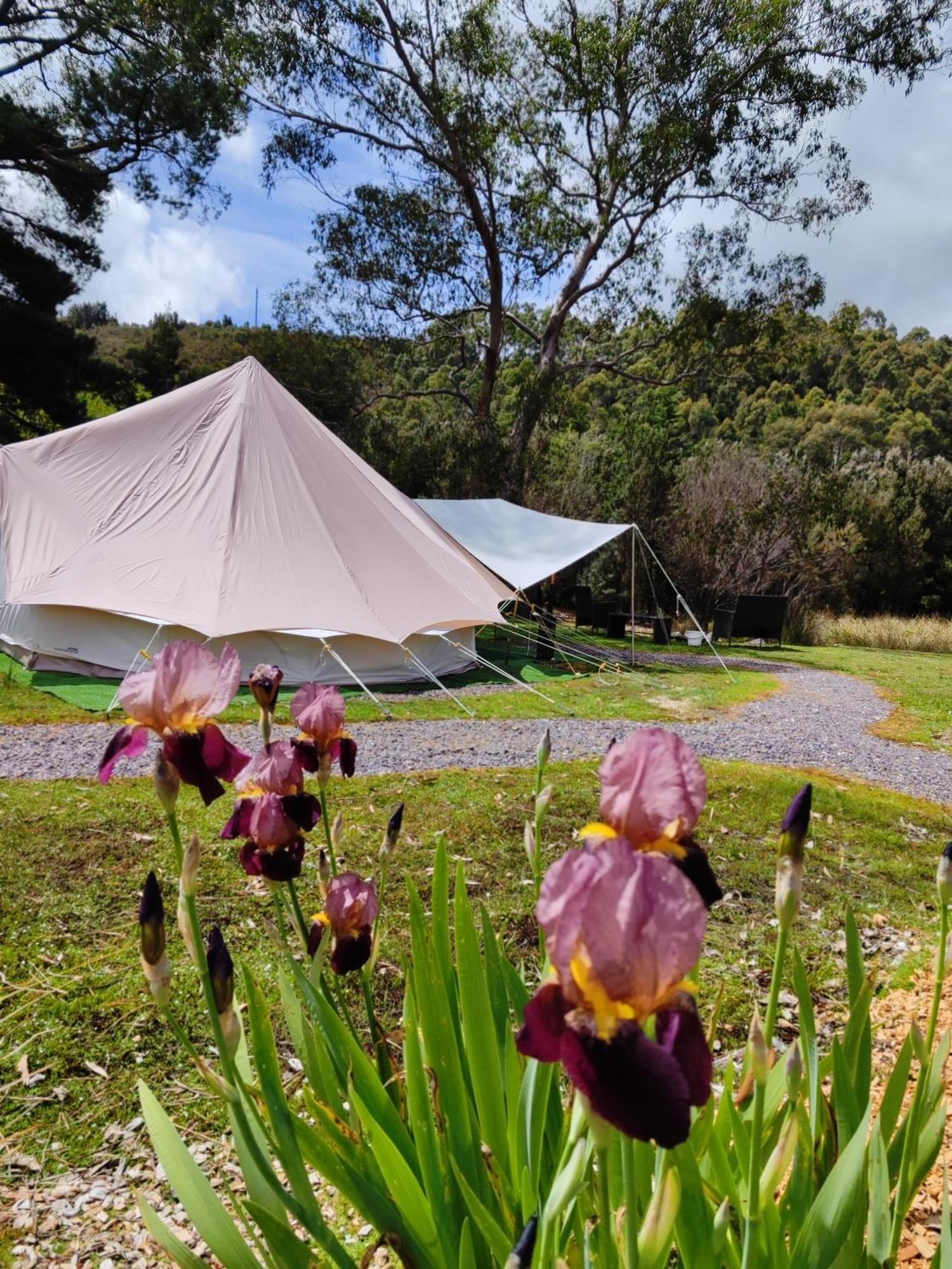 Glamping At Zeehan Bush Camp Eksteriør billede