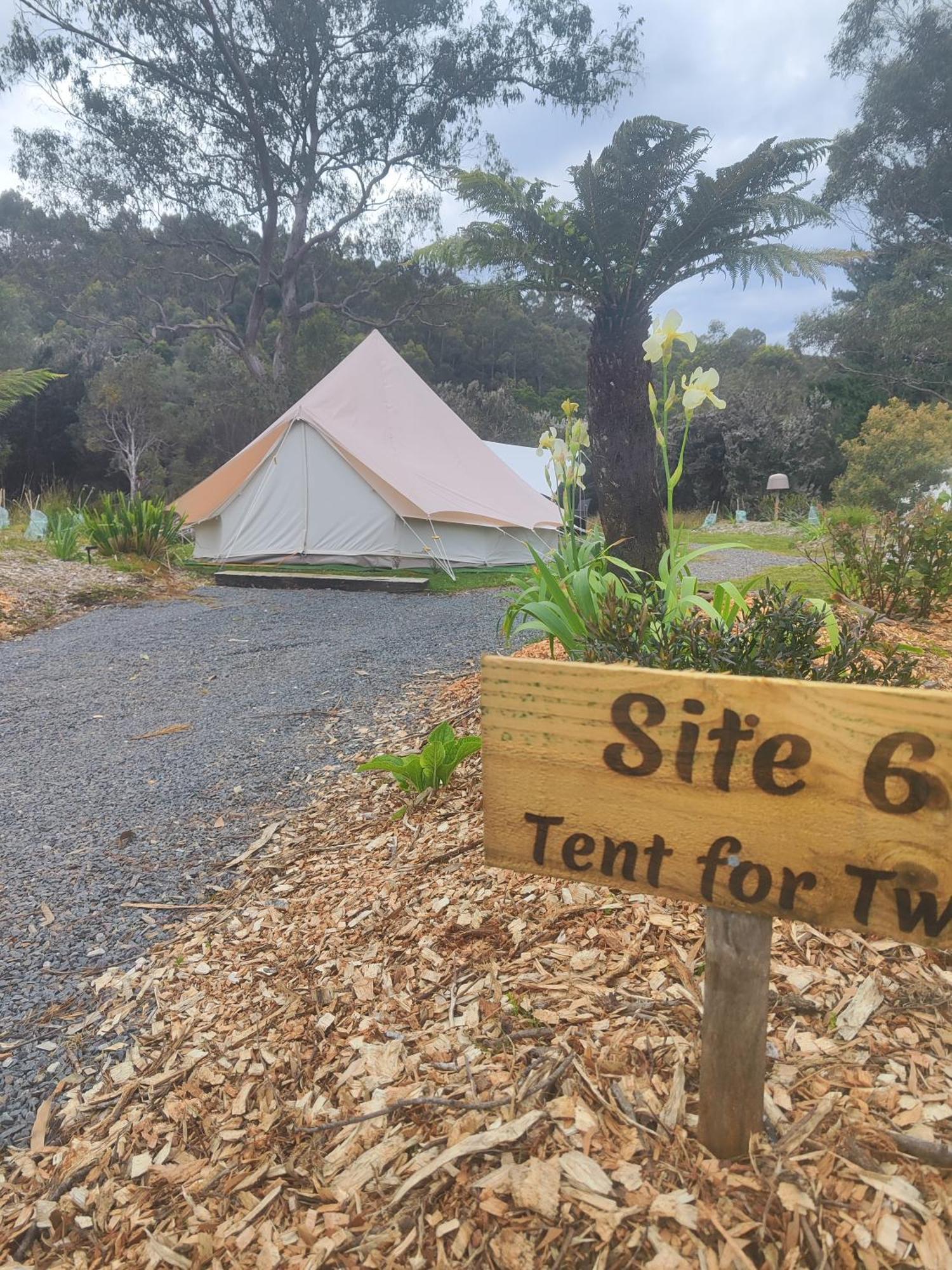 Glamping At Zeehan Bush Camp Eksteriør billede