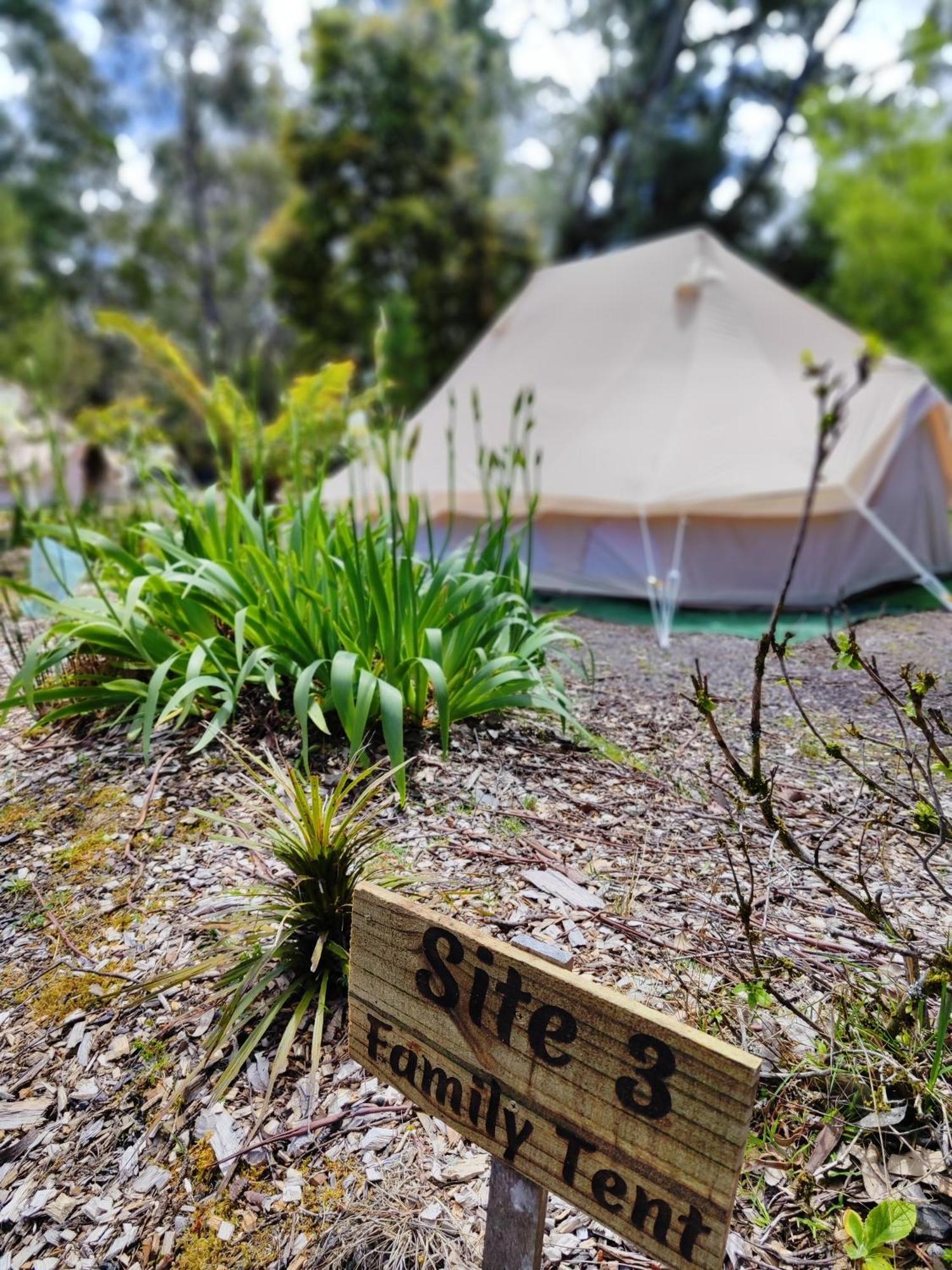 Glamping At Zeehan Bush Camp Hotel Eksteriør billede