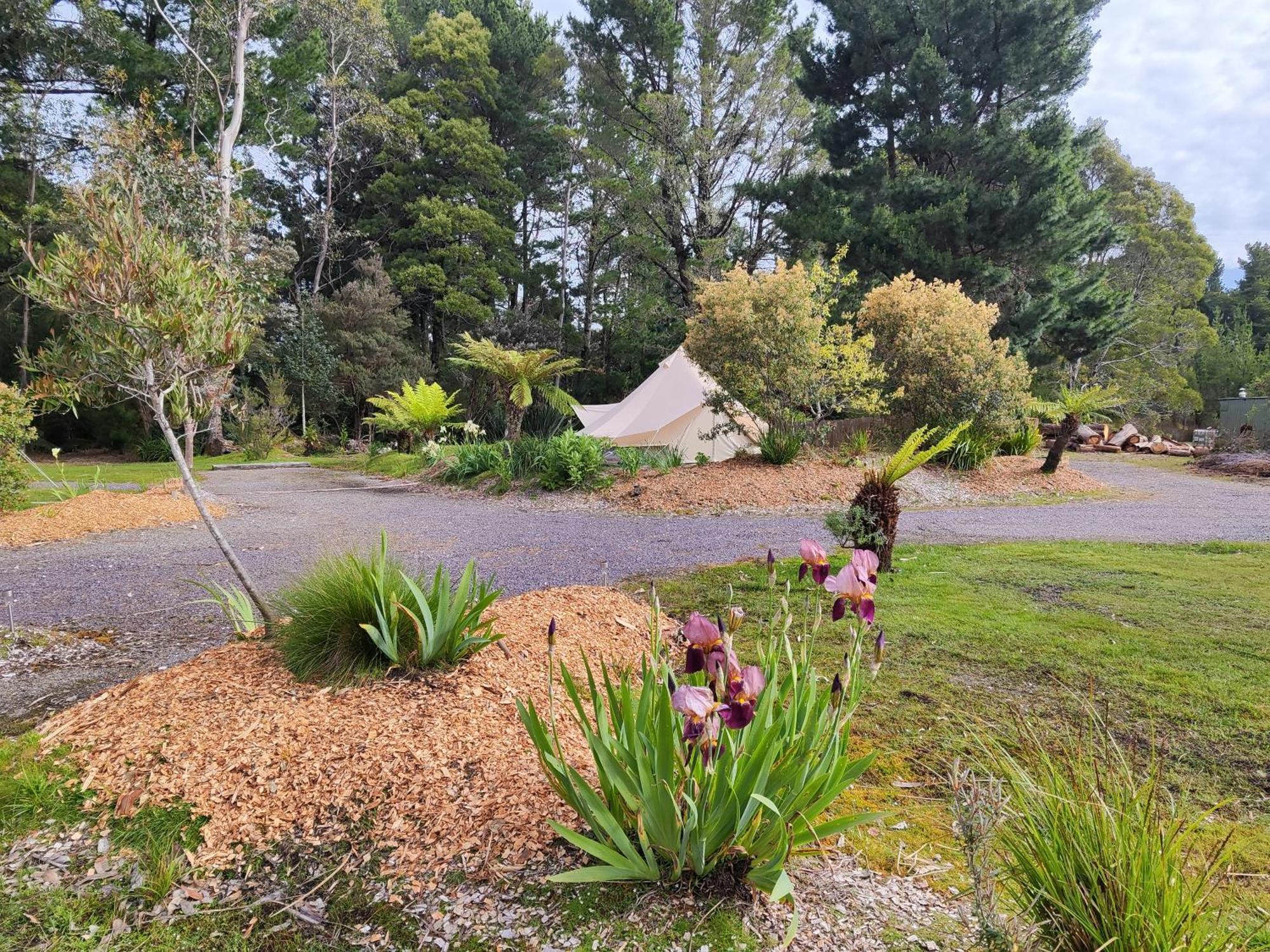 Glamping At Zeehan Bush Camp Eksteriør billede