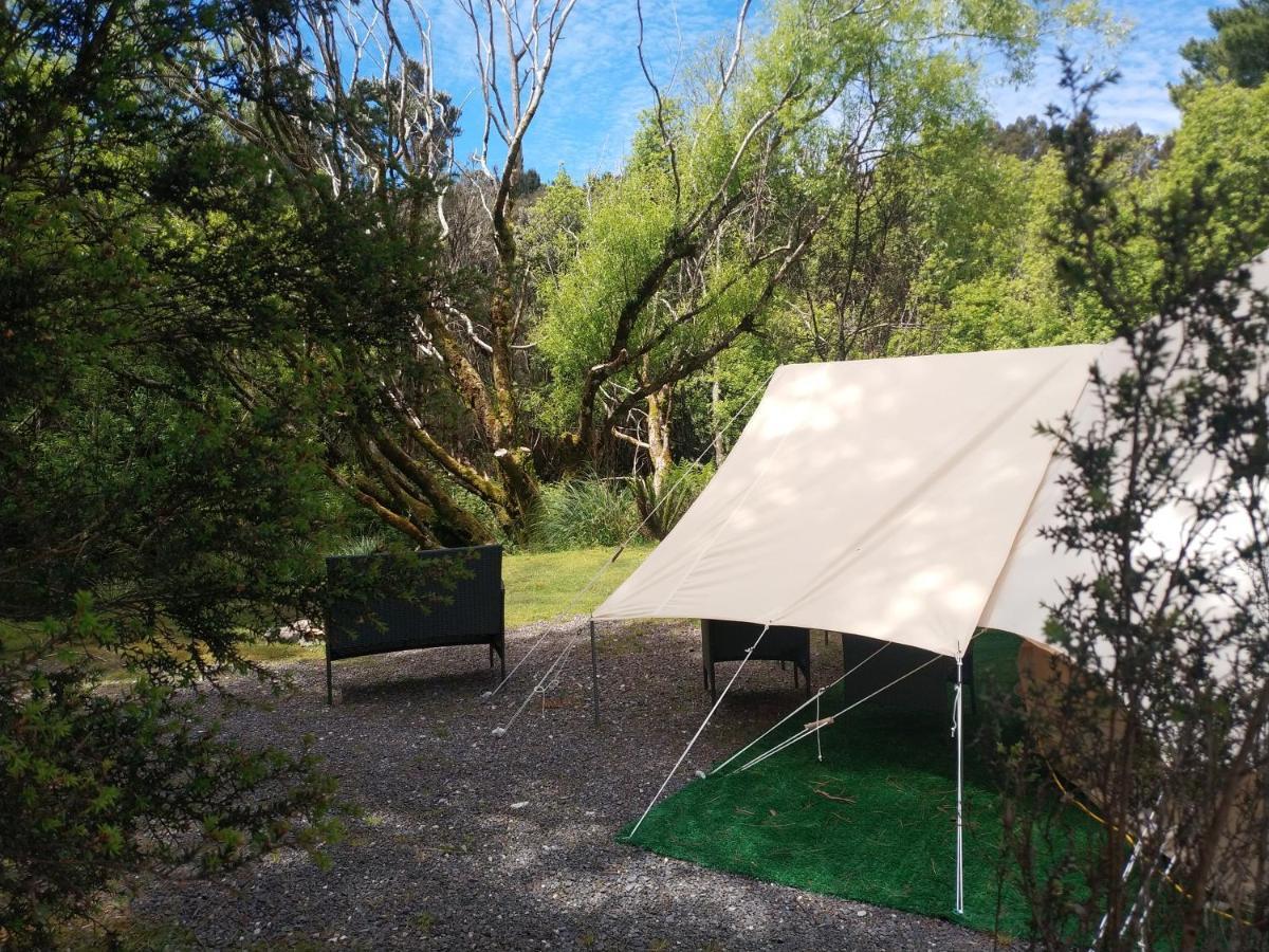 Glamping At Zeehan Bush Camp Eksteriør billede