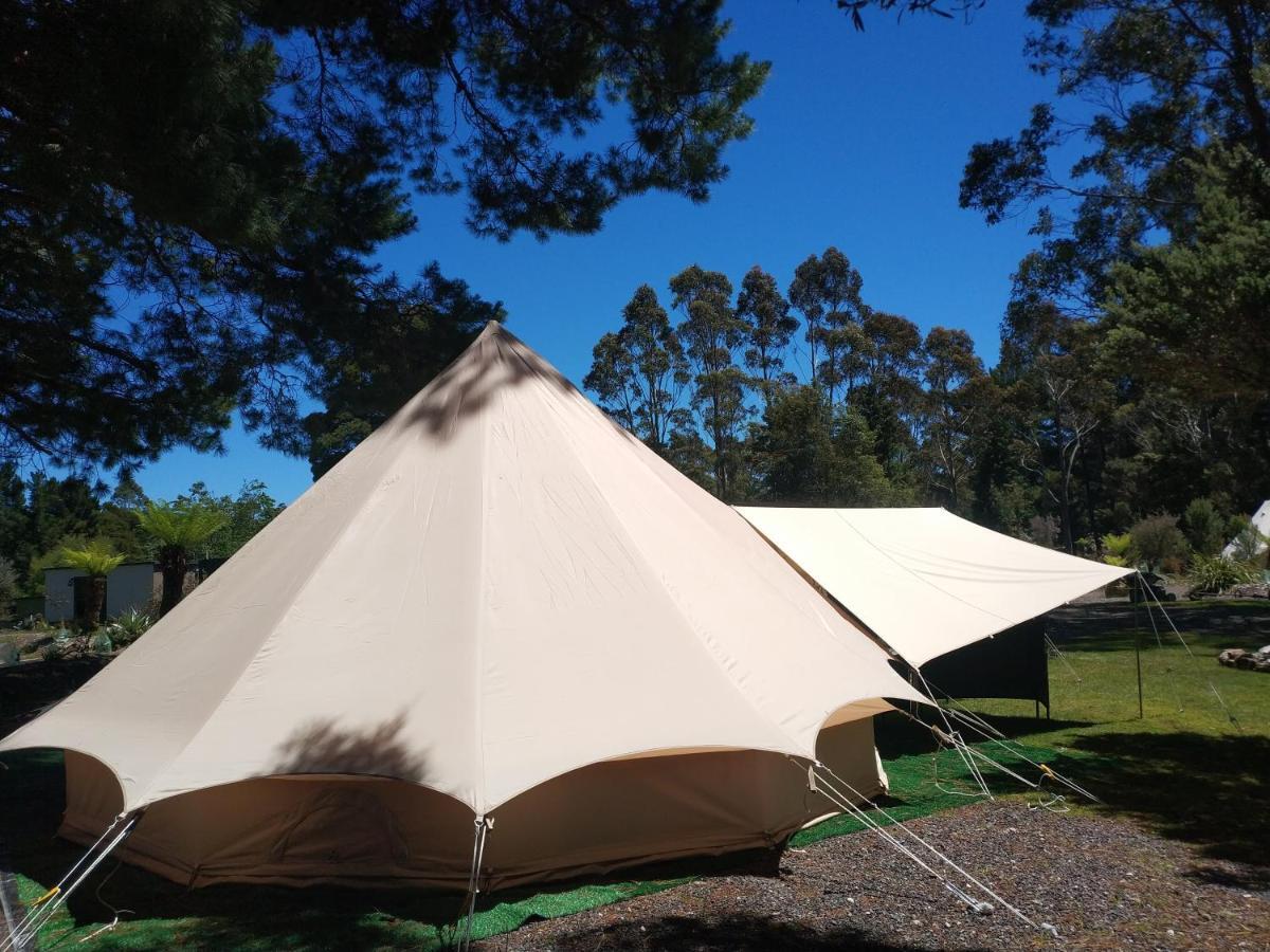 Glamping At Zeehan Bush Camp Eksteriør billede