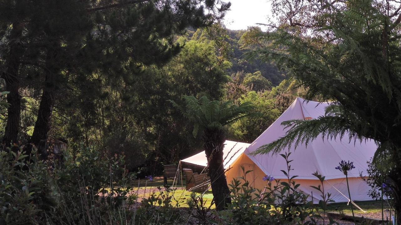 Glamping At Zeehan Bush Camp Eksteriør billede