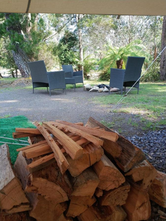 Glamping At Zeehan Bush Camp Eksteriør billede